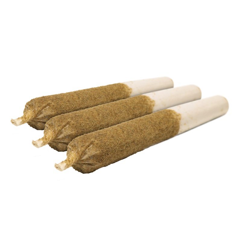 Indica strain pre rolls infused with tiger blood distillate